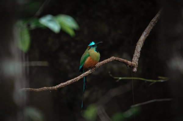 Les bienfaits de la musculation pour améliorer la coordination et l'équilibre corporel
