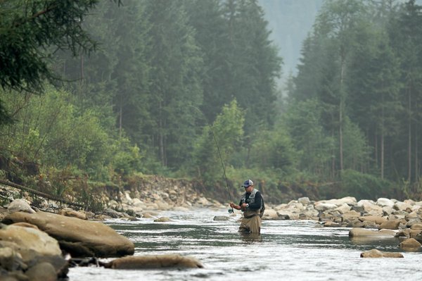 Trouver sa canne à mouche : comment s'y prendre ?